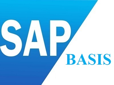 Best SAP BASIS Training Institute in Laxmi Nagar Delhi