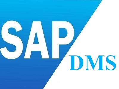 Best SAP DMS Training Institute in Laxmi Nagar Delhi
