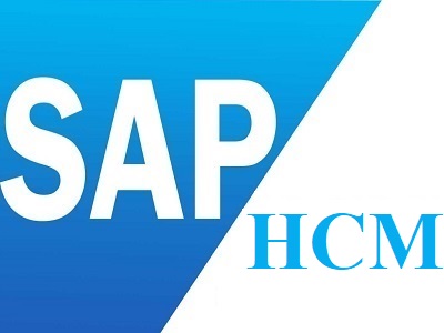 Best SAP HCM Training Institute in Laxmi Nagar Delhi