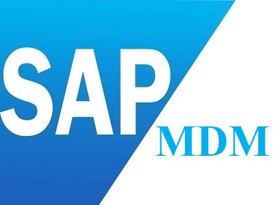 Best SAP MDM Training Institute in Laxmi Nagar Delhi