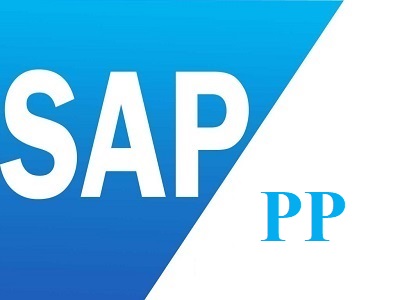 Best SAP PP Training Institute in Laxmi Nagar Delhi