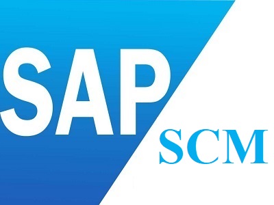 Best SAP SCM Training Institute in Laxmi Nagar Delhi