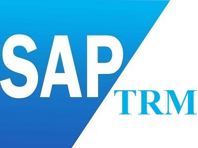 Best SAP TRM Training Institute in Laxmi Nagar Delhi